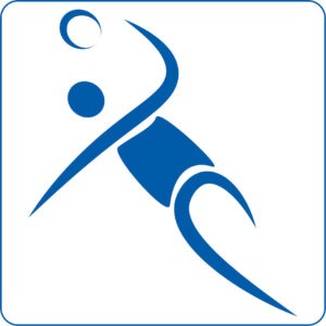 Handball-Icon